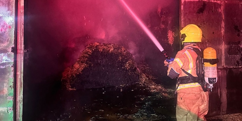 פורטל הכרמל