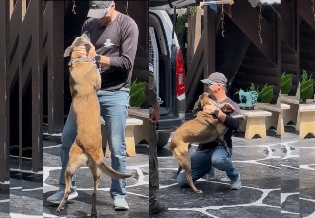 רס"ב וסים חסון שוטר גיבור איחולי החלמה מהירה