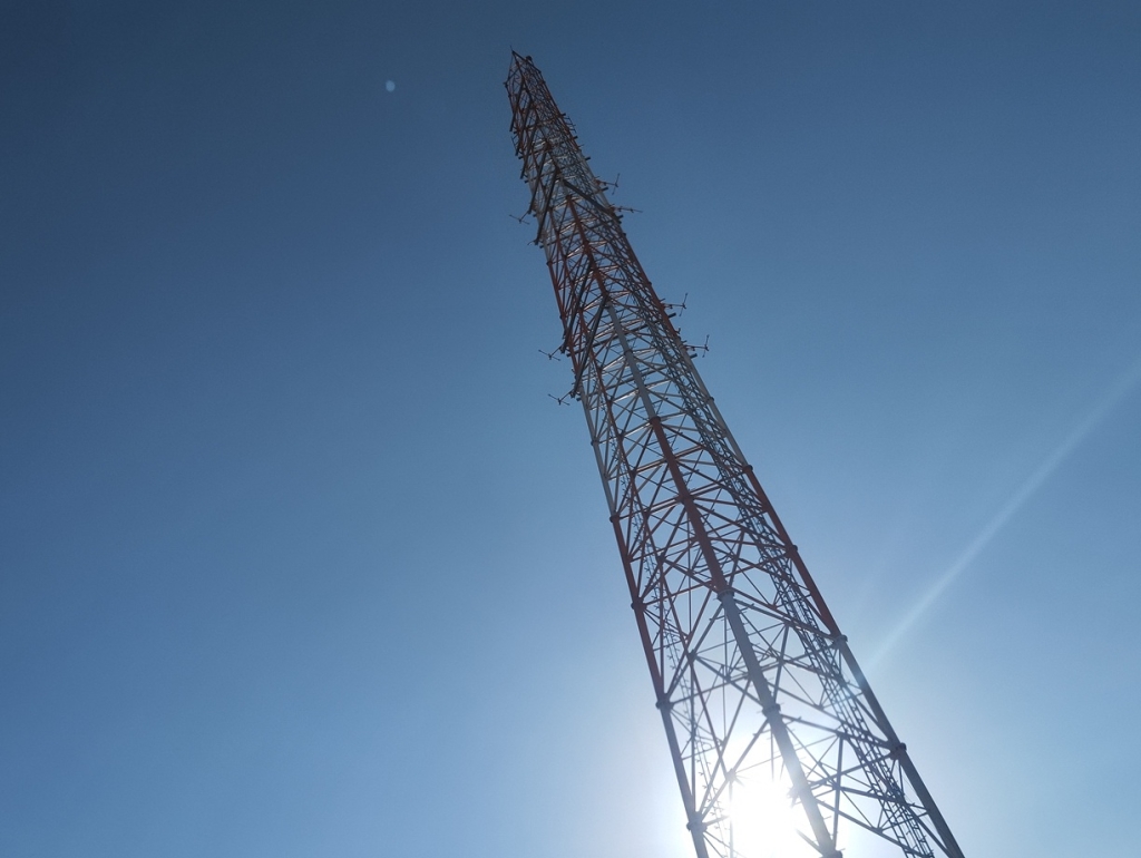 האציל הפיל רשת סחר באמל"ח וסמים