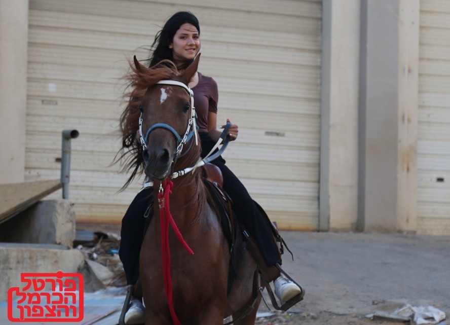 להרגיש את האדמה על גב הסוס