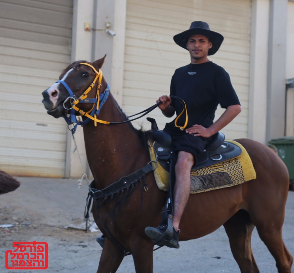 פורטל הכרמל