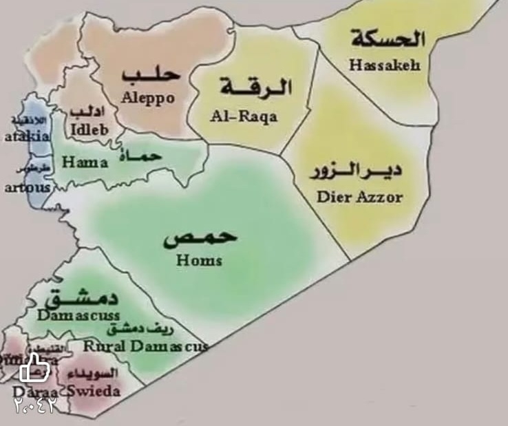 פורטל הכרמל