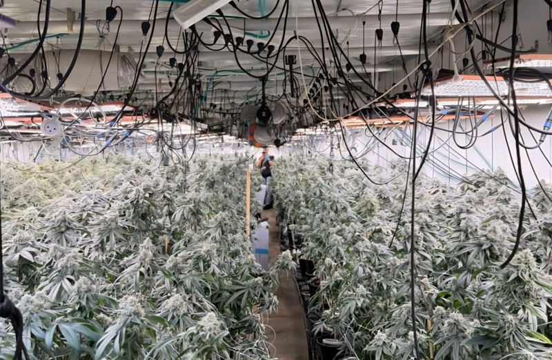 אותרה בחיפה מעבדת הסמים הגדולה בארץ