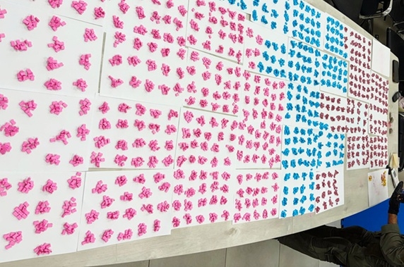 לולה חשפה מעל 6,600 כדורי אקסטזי שהוסלקו במתחם