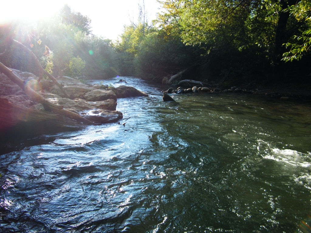 זיהום בנחלים רבים בצפון