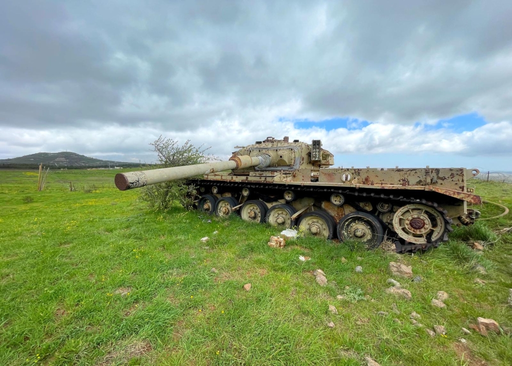 פורטל הכרמל