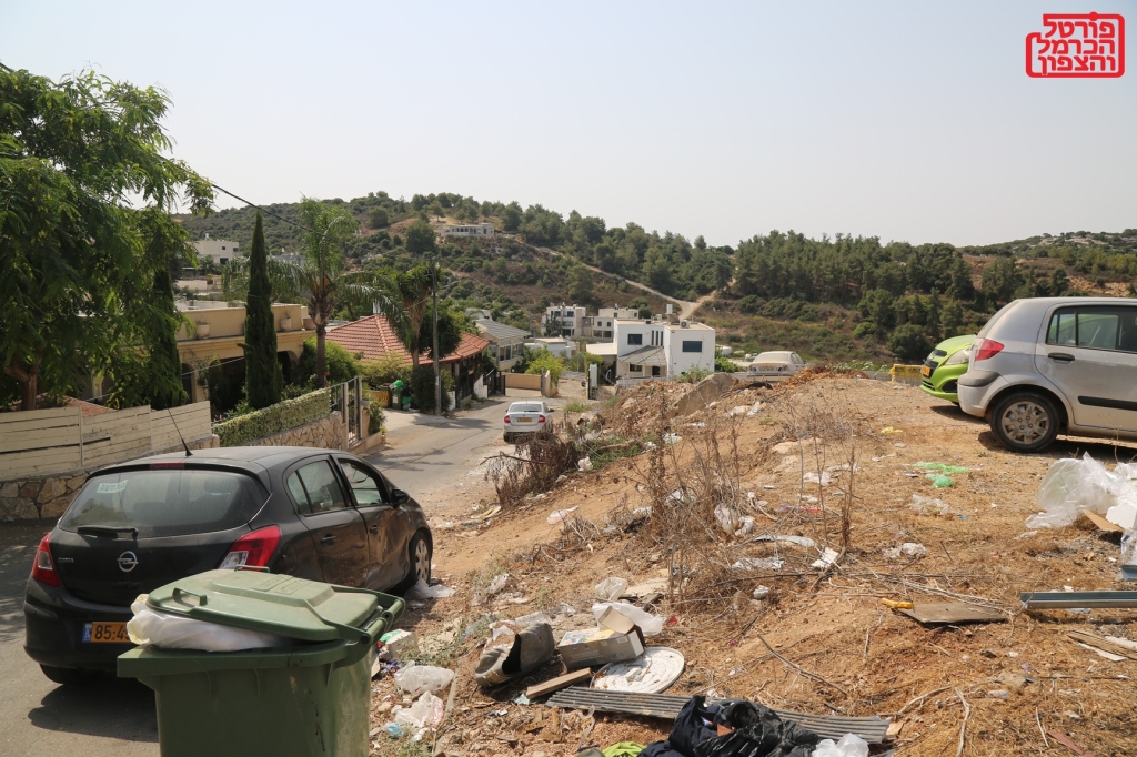 פורטל הכרמל