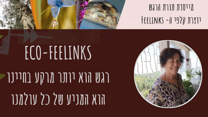 פורטל הכרמל