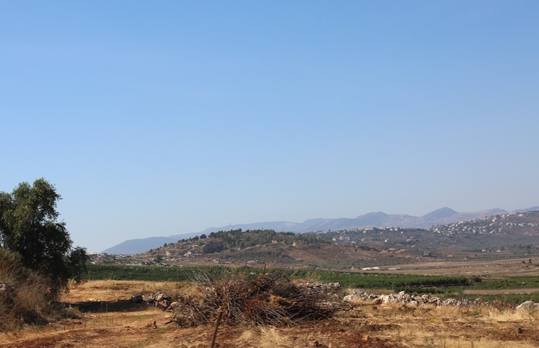 צה"ל חיסל מפקד במערך הנ"ט של חזבאללה