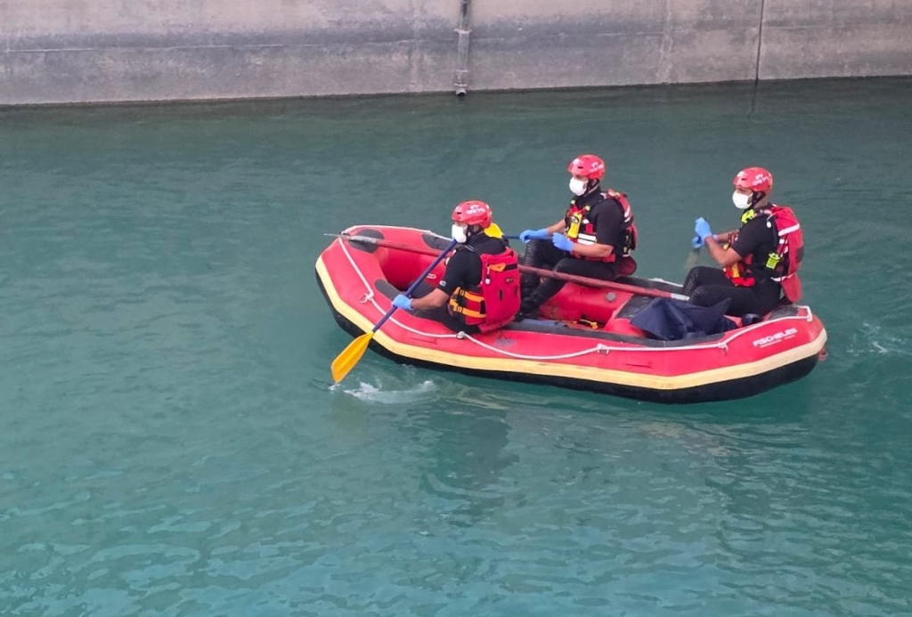 פורטל הכרמל