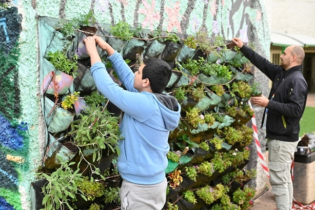 פורטל הכרמל