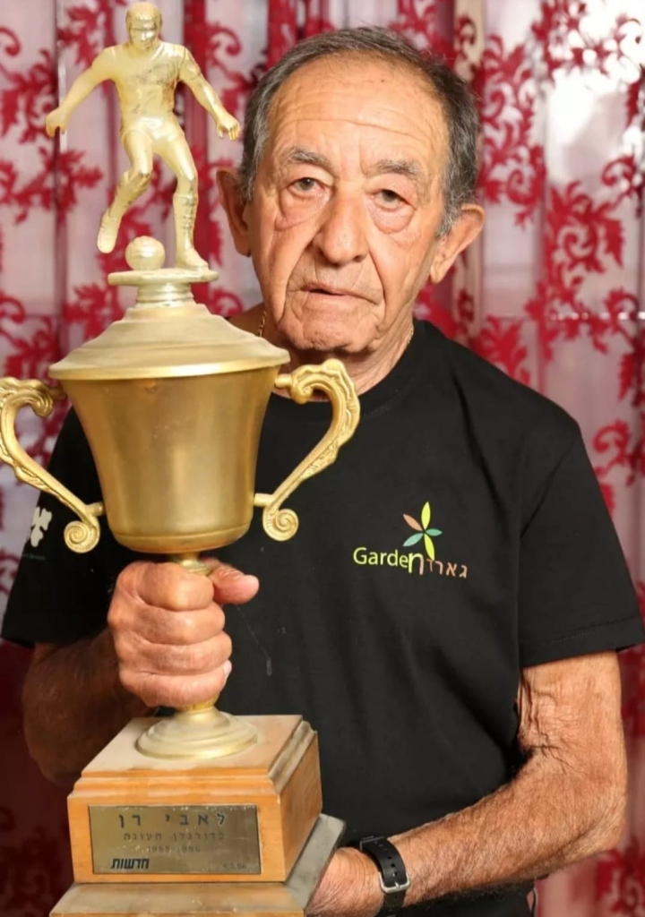 פורטל הכרמל