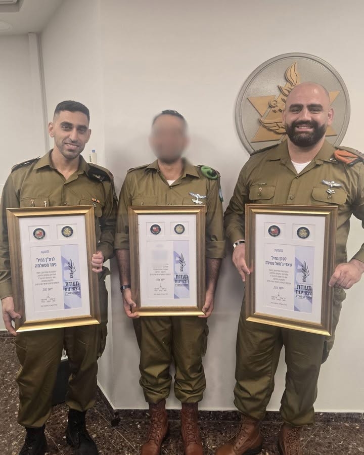 פורטל הכרמל