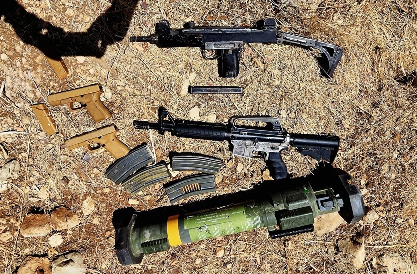 פורטל הכרמל