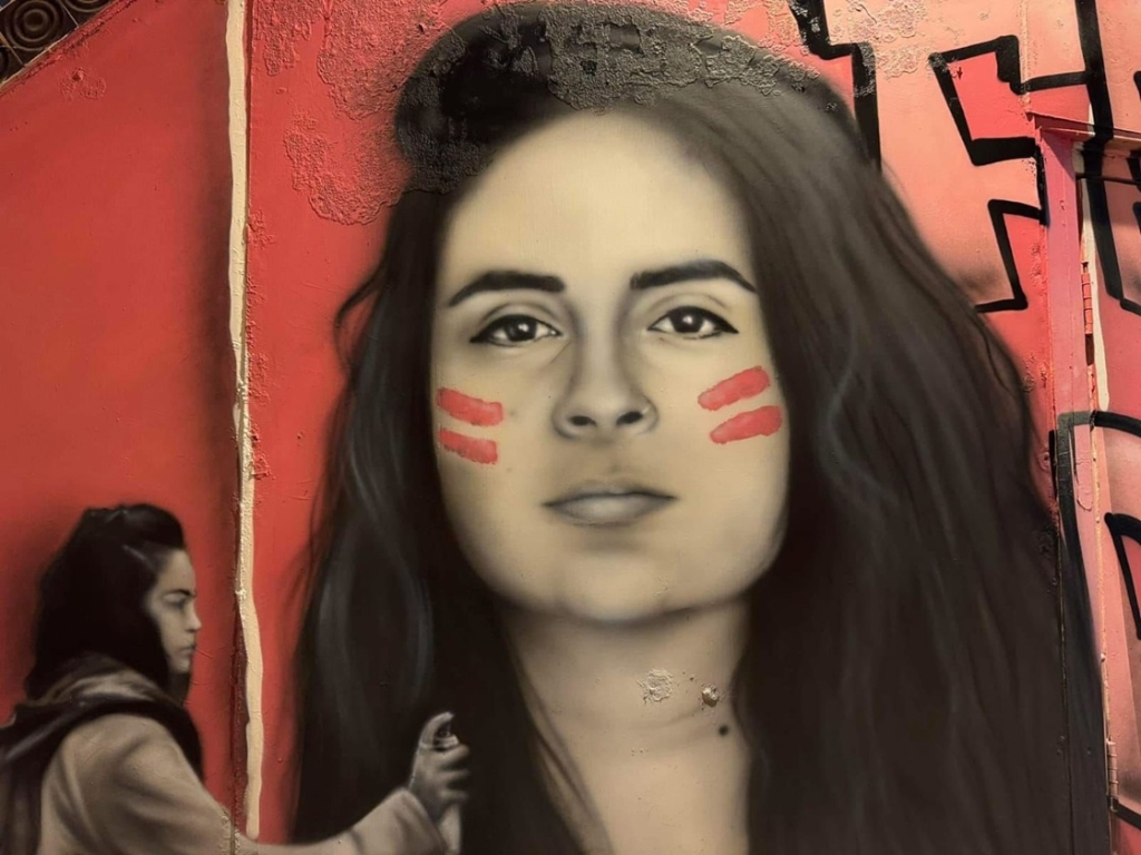 פורטל הכרמל