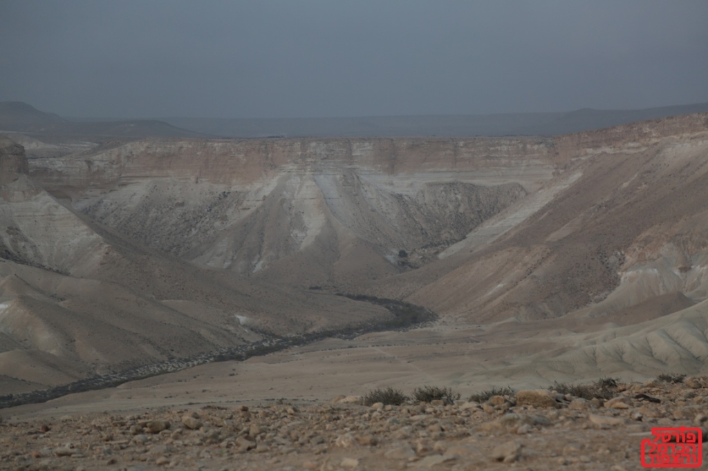 מסרון השבוע האזינו
