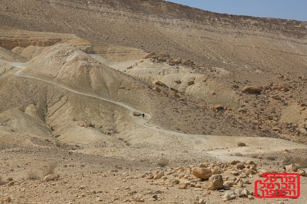 פתיחה מחודשת של מסלולי טיולים בדרום הארץ 