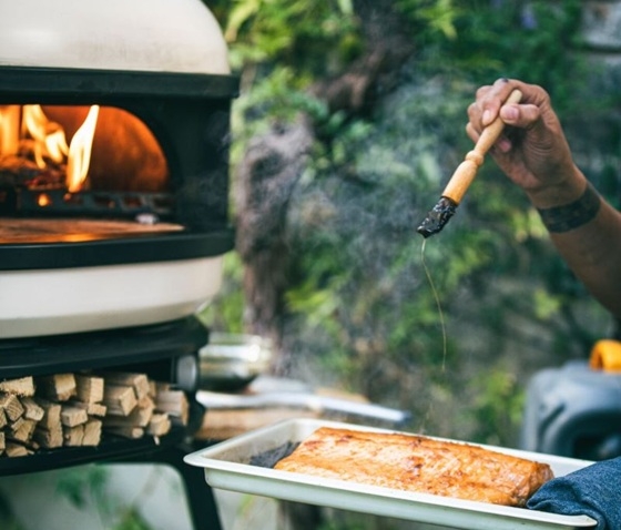 פורטל הכרמל