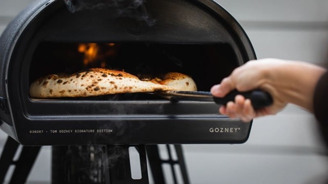 פורטל הכרמל