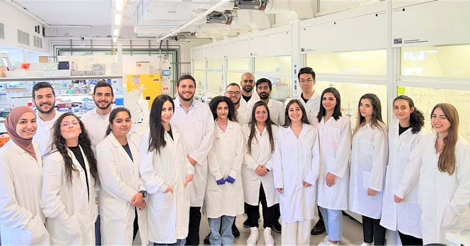 פורטל הכרמל