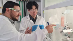 דבק ביולוגי שפותח בטכניון אמור להחליף סיכות ותפרים