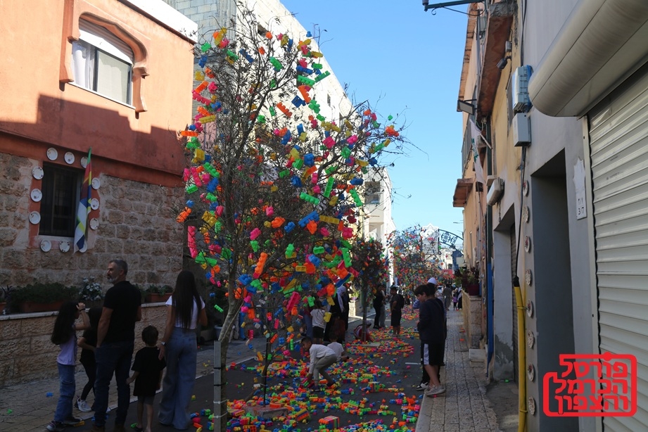 פורטל הכרמל