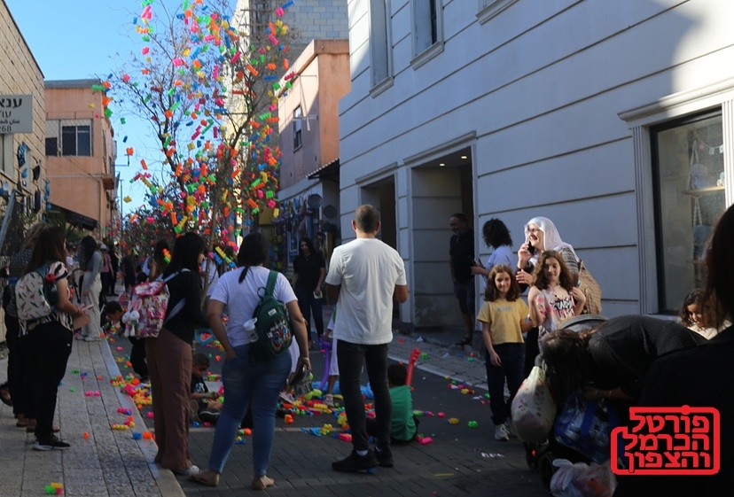 פורטל הכרמל