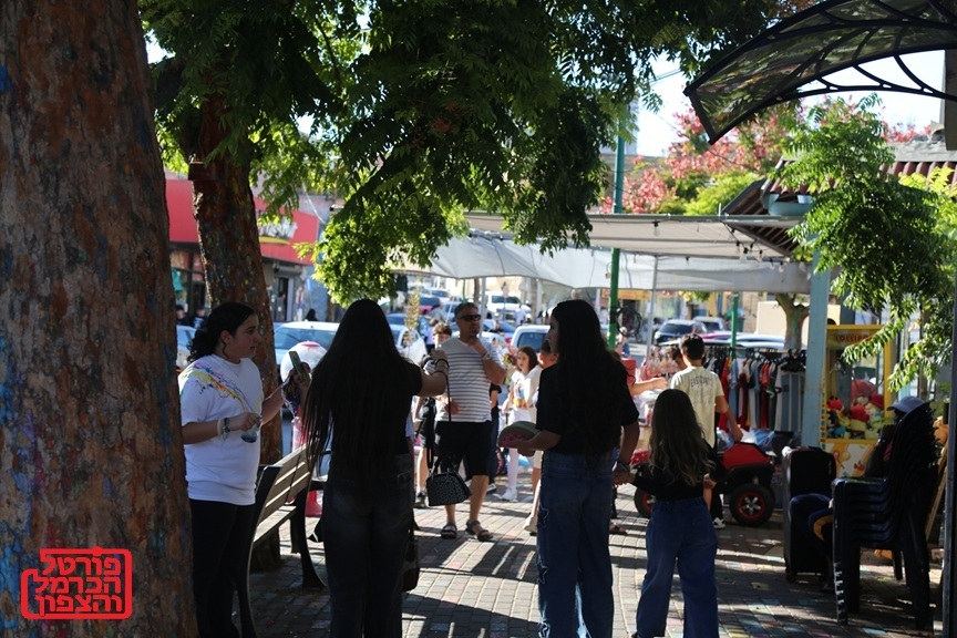 פורטל הכרמל