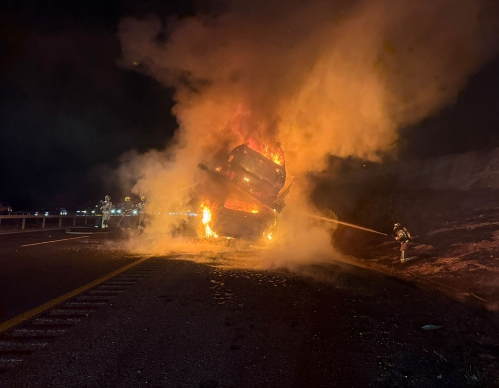 פורטל הכרמל