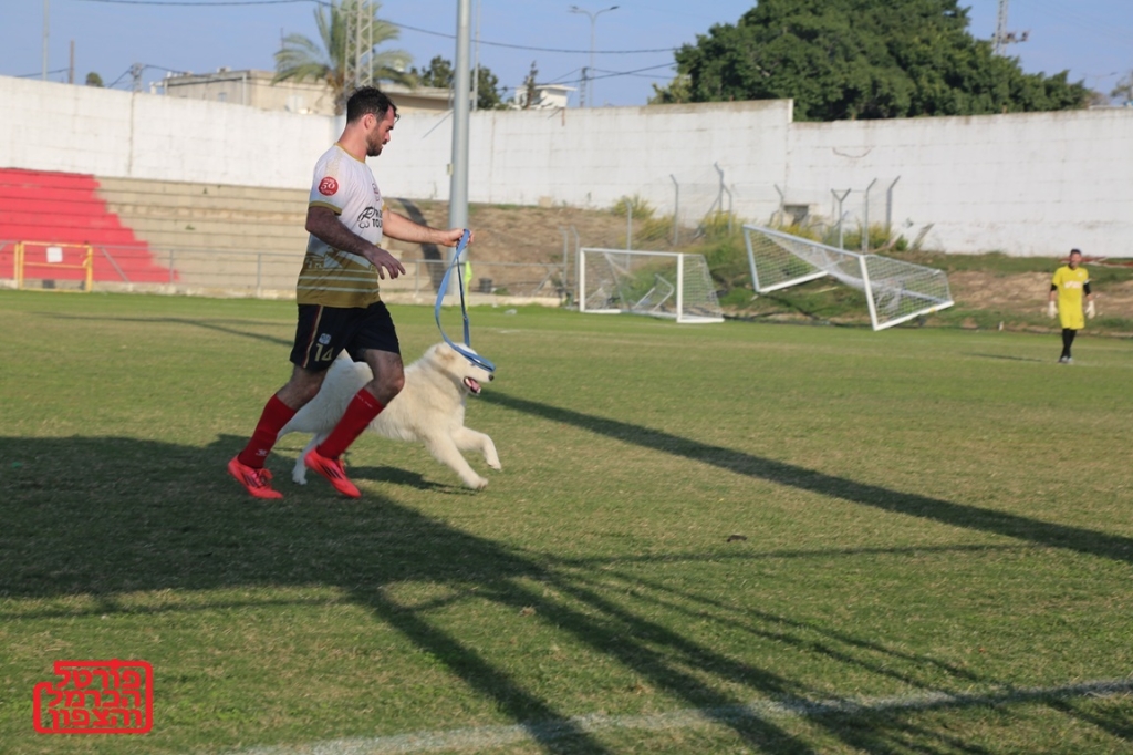 הכלב שפרץ למגרש הכדורגל