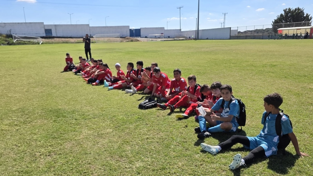 פורטל הכרמל