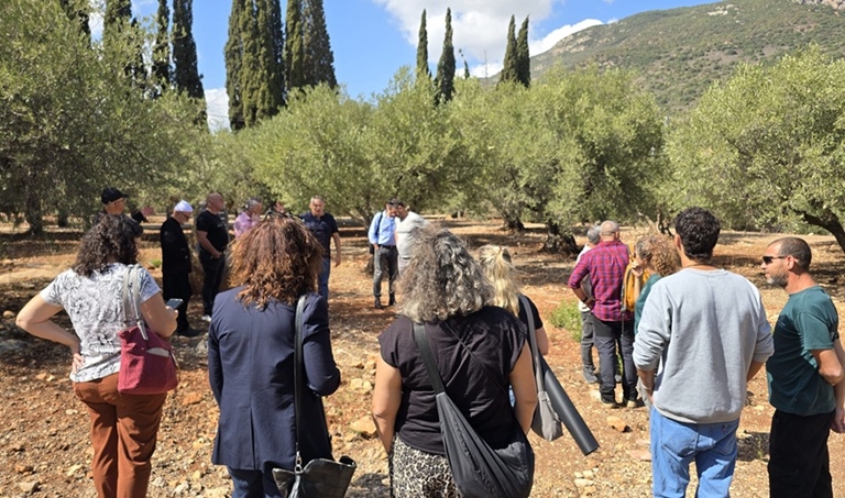 אחרי שנתיים של מלחמה פסטיבל הזית חוזר