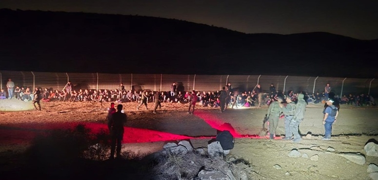 פורטל הכרמל