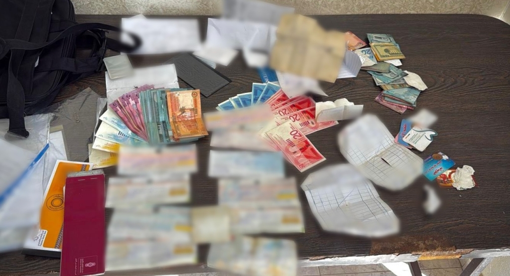 פורטל הכרמל