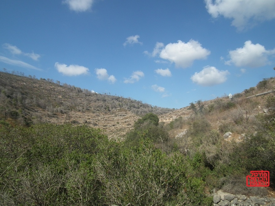 פורטל הכרמל