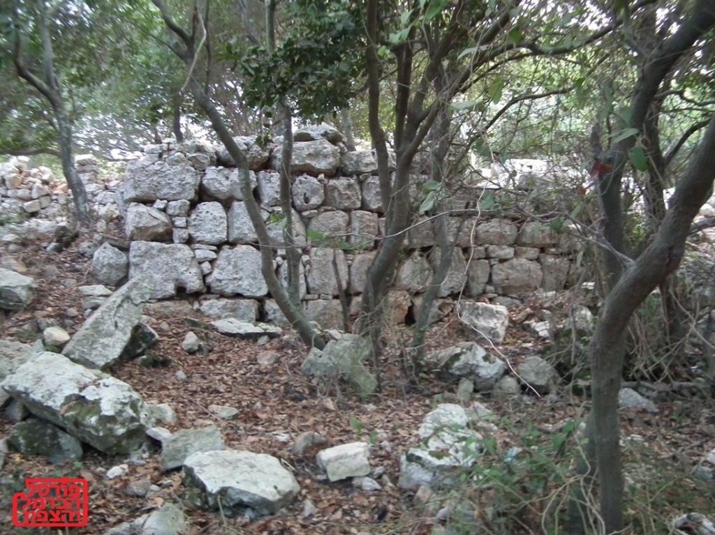 פורטל הכרמל