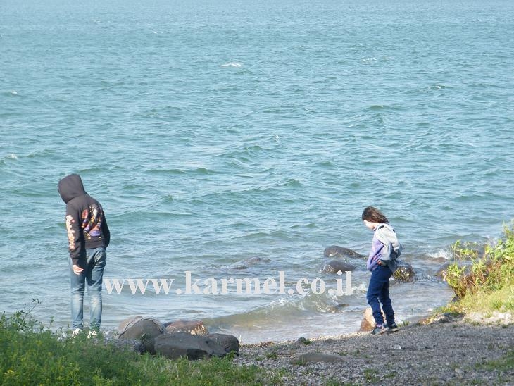 מפרשת השבוע נח