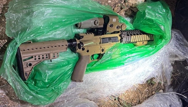 פורטל הכרמל