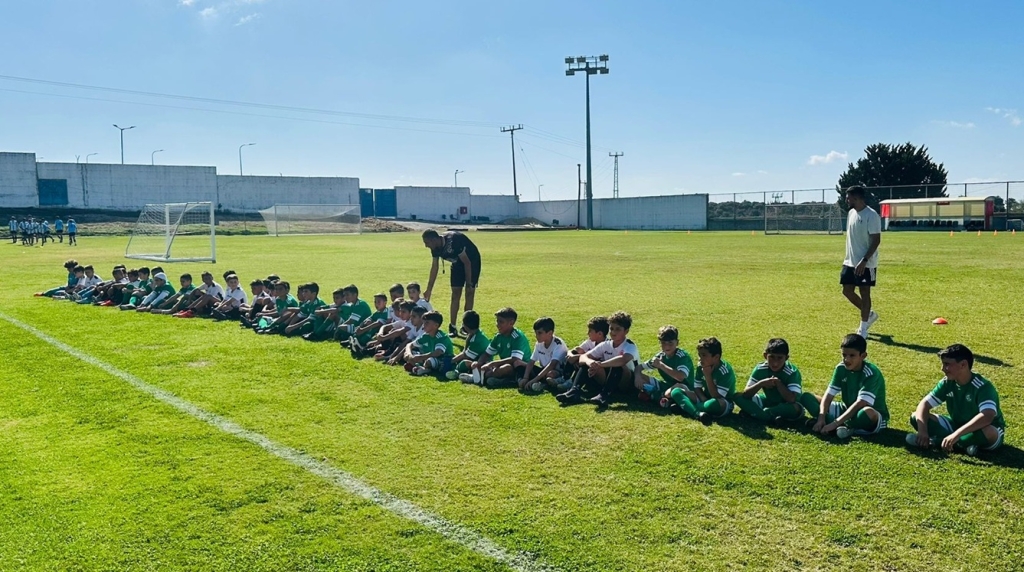 פורטל הכרמל