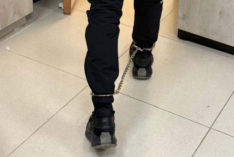 פורטל הכרמל