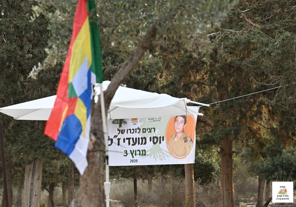 פורטל הכרמל