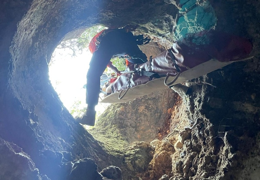 פורטל הכרמל