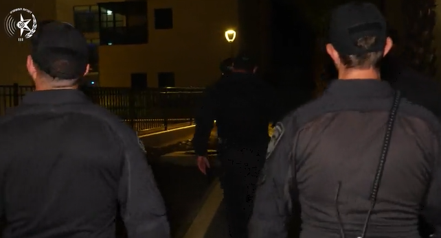 פורטל הכרמל