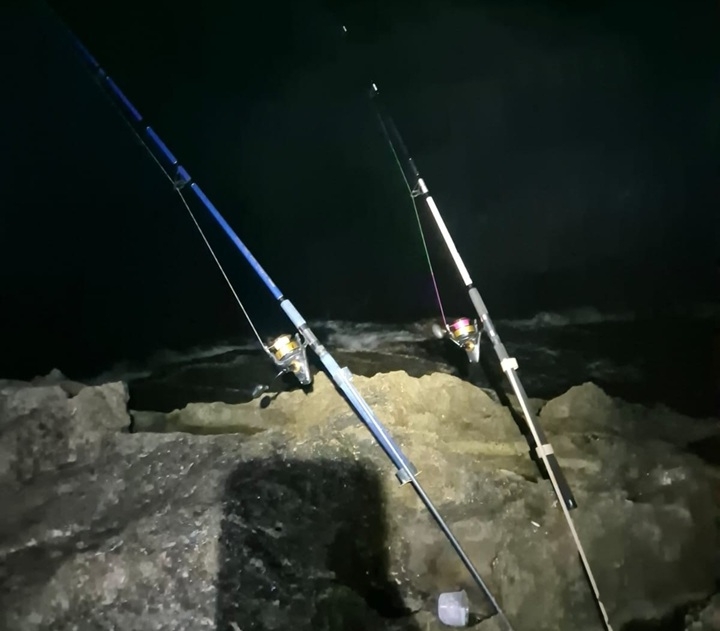 פורטל הכרמל