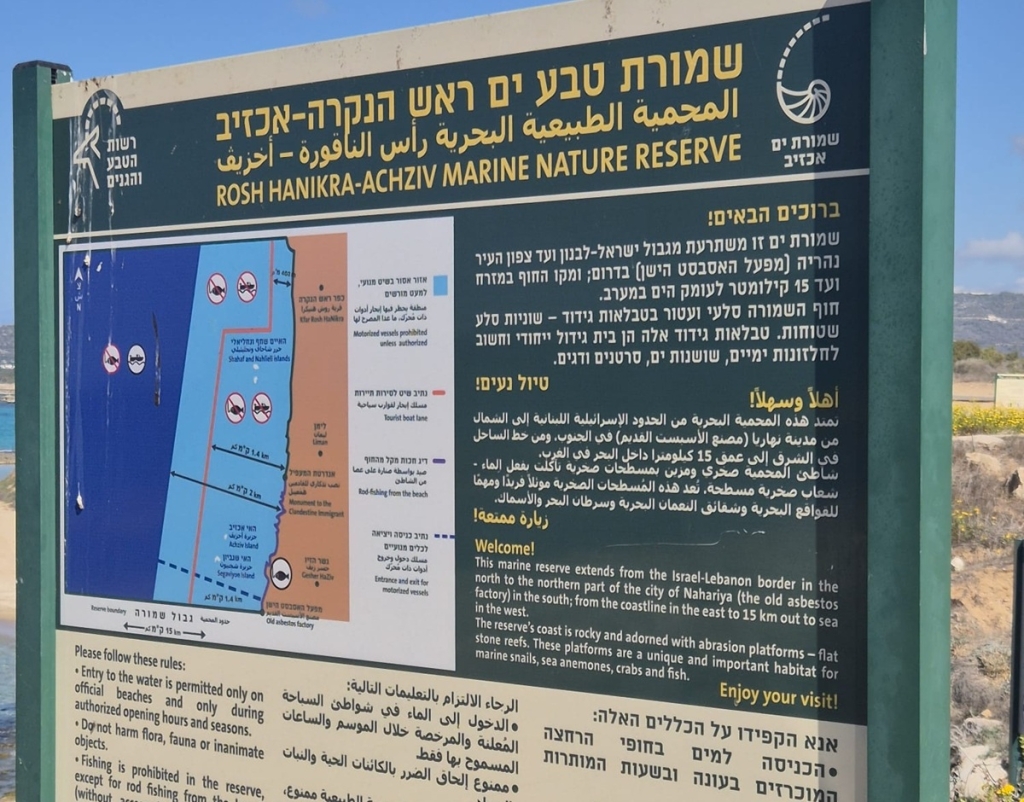 פורטל הכרמל