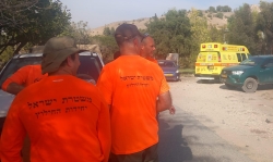 נערה בת 13 נעקצה על ידי עקרב