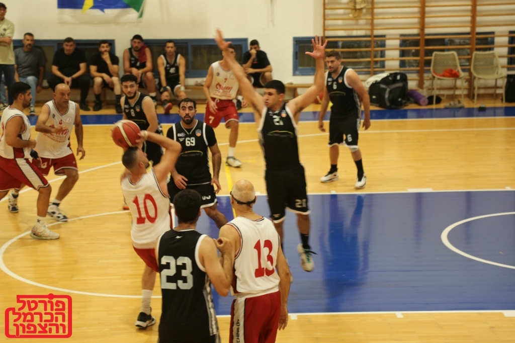 פורטל הכרמל