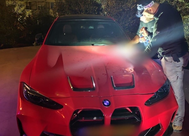 פורטל הכרמל