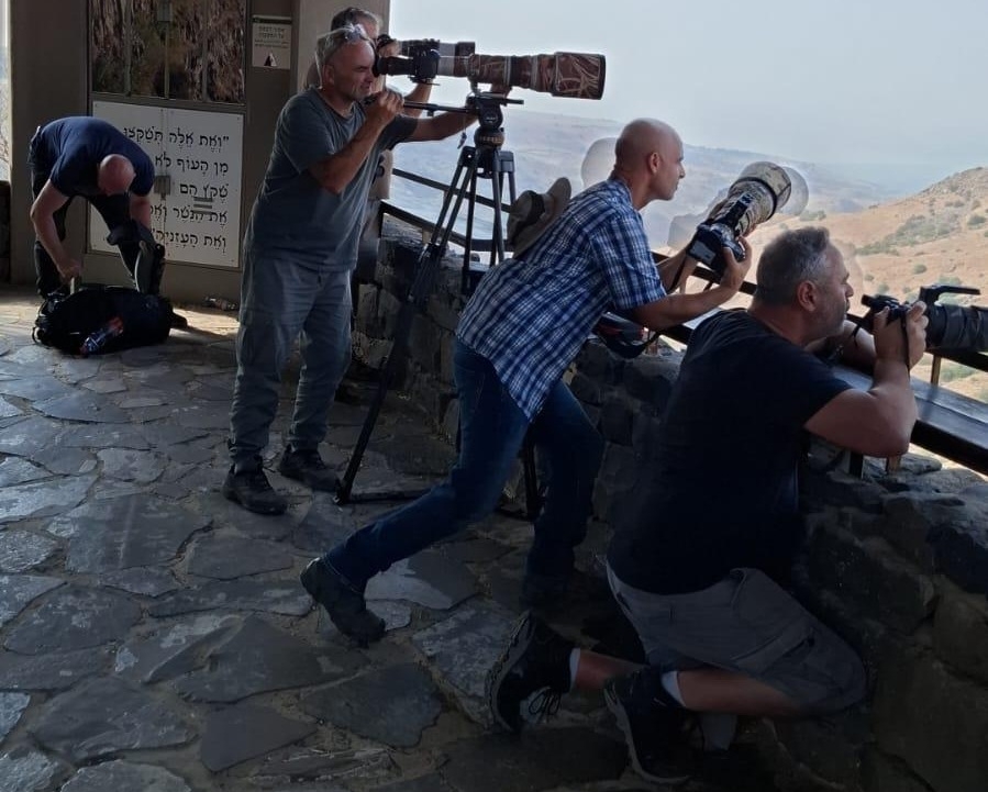 פורטל הכרמל