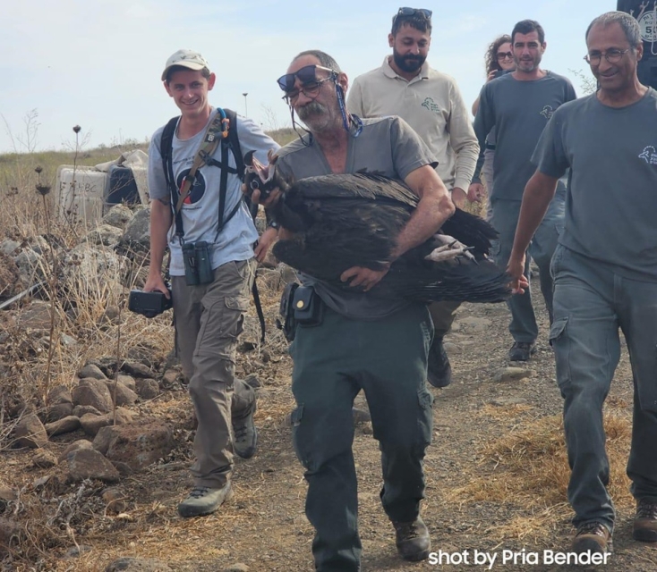 עוזנייה שחורה ואנשי רשות הטבע